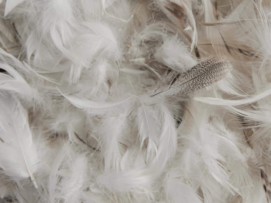 Parachute Luxury Feather Euro Pillow - Hypoallergenic Down Alternative Bedding for Side Sleepers
