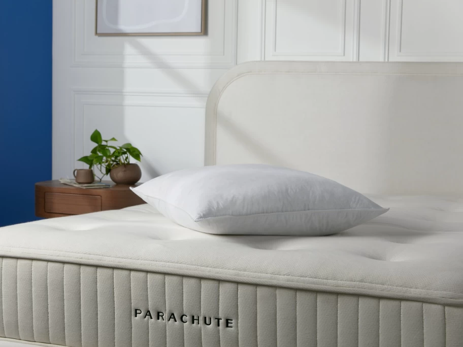 Parachute Luxury Feather Euro Pillow - Hypoallergenic Down Alternative Bedding for Side Sleepers