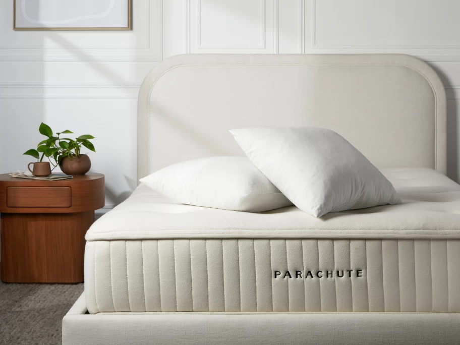 Parachute Down Decorative Pillow Insert - Luxurious Feather-Filled Cushion for Home Decor